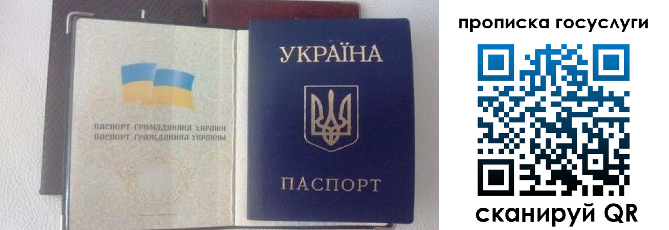временная регистрация недорого в Александровске-Сахалинском